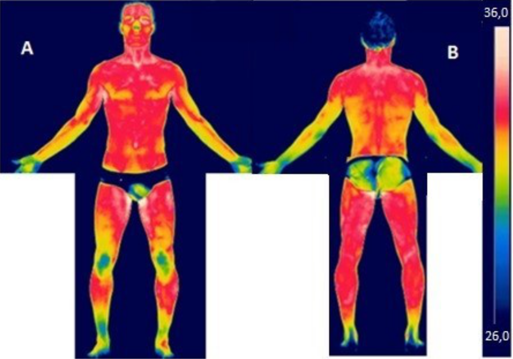 Understanding human body temperature in infrared thermal readings