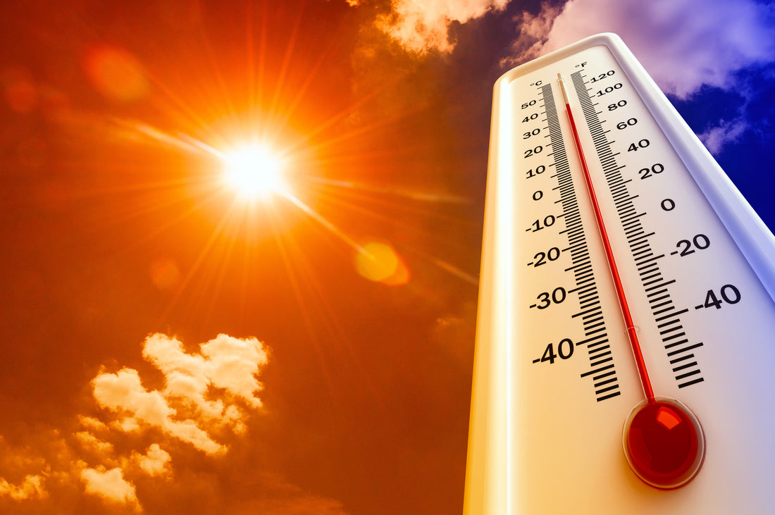 Understanding and Mitigating the Health Impacts of Rising Temperatures