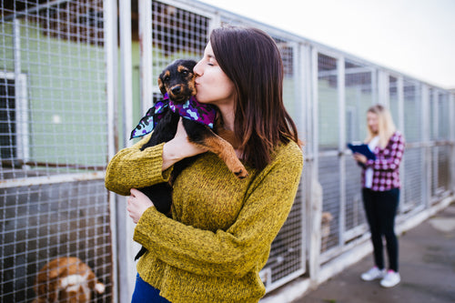Merck Animal Health Partners with ByoPlanet to Donate up to $1 Million in Disinfection Chemicals and ByoPlanet Electrostatic Technology to Protect Sheltered Homeless Animals affected by Hurricane Idalia